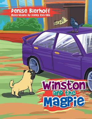 Cover of the book Winston and the Magpie by Memory Dete-Mawere