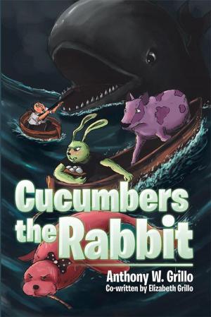 Cover of the book Cucumbers the Rabbit by B. Robert Anderson
