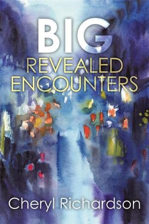 Cover of the book Big Revealed Encounters by Jack Vargo