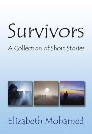 Cover of the book Survivors by U.K. Habib
