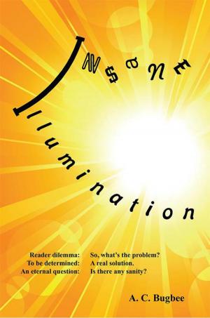 Cover of the book Insane Illumination by Frederick A. Patchen