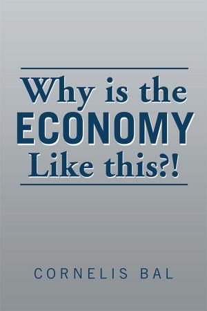 Cover of the book Why Is the Economy Like This?! by P. Casse, P.G. Claudel