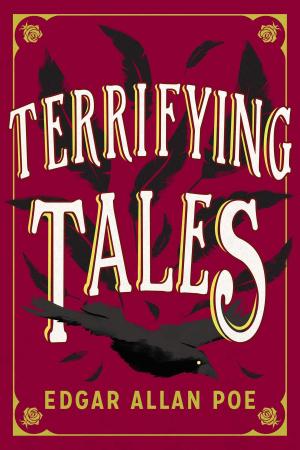 Cover of the book The Terrifying Tales by Edgar Allan Poe by Nikos Kazantzakis