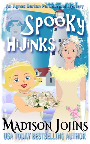 Cover of the book Spooky Hijinks by Alex Shishin