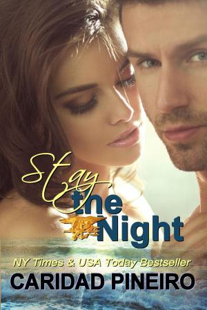 bigCover of the book Stay the Night by 