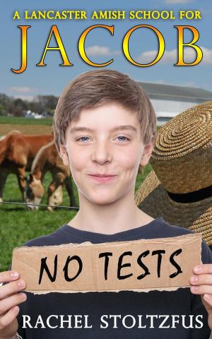 Book cover of A Lancaster Amish School for Jacob