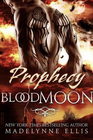 Cover of the book Prophecy by B.L. Brunnemer