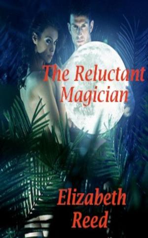 Cover of the book The Reluctant Magician by Michael P. Rogers