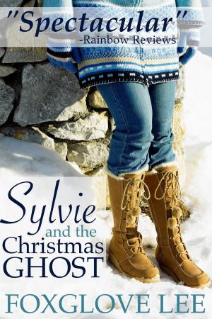 Cover of the book Sylvie and the Christmas Ghost by J.J. Brass