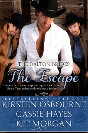 Book cover of The Escape (A Prologue)