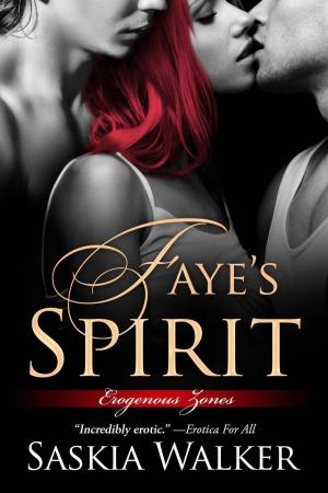 Book cover of Faye's Spirit