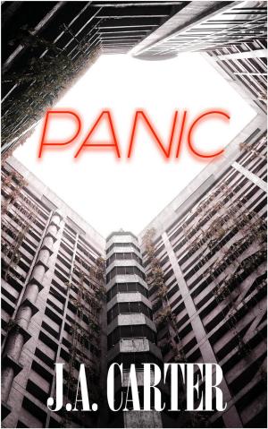 Cover of the book Panic by J. E. Andrews
