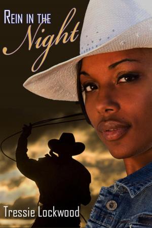 Cover of the book Rein in the Night by Morgan Jane Mitchell