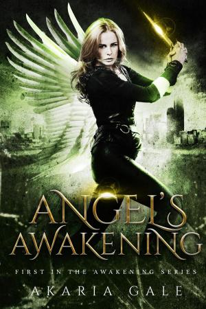 Book cover of Angel's Awakening