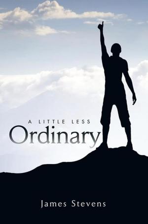 Cover of the book A Little Less Ordinary by Melvin Karew