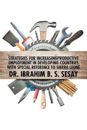Book cover of Strategies for Increasing Productive Employment in Developing Countries with Special Reference to Sierra Leone