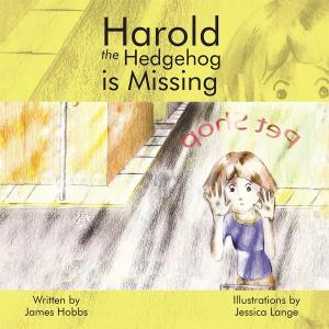 Cover of the book Harold the Hedgehog Is Missing by Ken G. Irish-Bramble