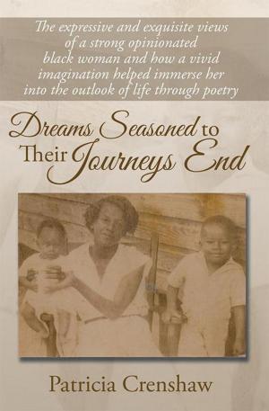 Cover of the book Dreams Seasoned to Their Journeys End by Dr. Mohammad Taqi Jamani