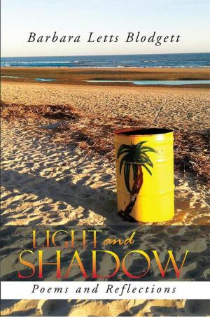 Cover of the book Light and Shadow by 