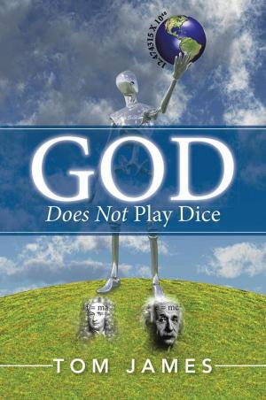 Cover of the book God Does Not Play Dice by Rick Widener