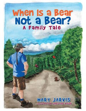 Cover of the book When Is a Bear Not a Bear? by Mattia Smith