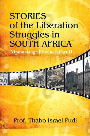 Cover of the book Stories of the Liberation Struggles in South Africa by Cindy Xinrui Zhang