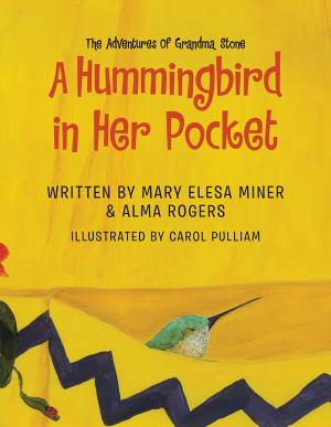 Cover of the book A Hummingbird in Her Pocket by Donald Rilla