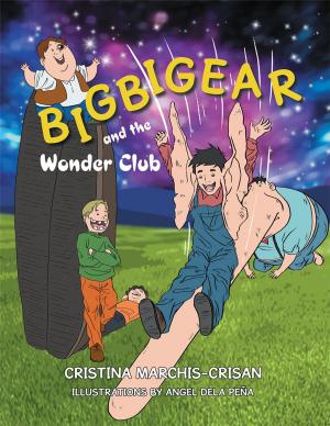Cover of the book Bigbigear and the Wonder Club by David R. Mastbergen