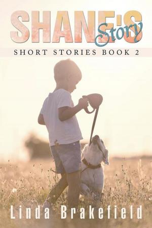 bigCover of the book Shane's Story by 