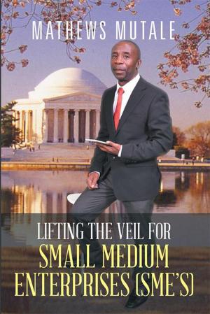 Cover of the book Lifting the Veil for Small Medium Enterprises (Sme’S) by Eugene E. Stoltz