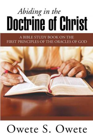 Cover of the book Abiding in the Doctrine of Christ by D.E. Johnson