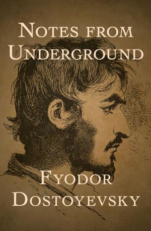 Cover of the book Notes from Underground by George Zebrowski