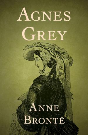 Cover of the book Agnes Grey by I. F. Stone