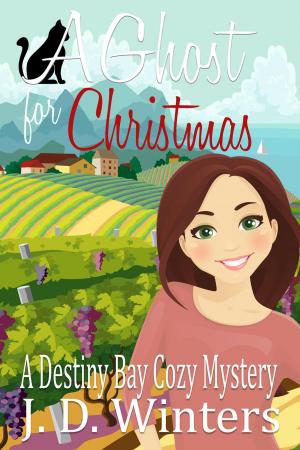 Cover of the book A Ghost for Christmas by Zoey Summers