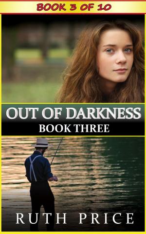 Cover of the book Out of Darkness Book 3 by Rachel Stoltzfus