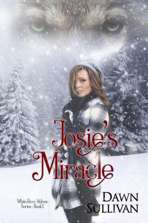Cover of Josie's Miracle