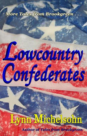 Book cover of Lowcountry Confederates: Rebels, Yankees, and South Carolina Rice Plantations