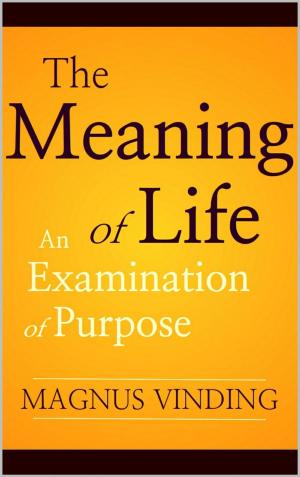 Cover of the book The Meaning of Life: An Examination of Purpose by Magnus Vinding