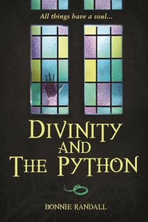 Cover of the book Divinity and The Python by Penny Jordan