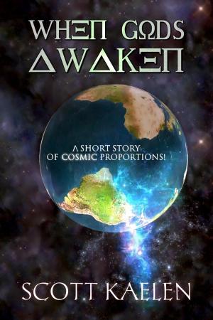 Cover of the book When Gods Awaken by Daniel Goldman