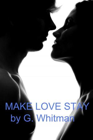 Cover of the book Make Love Stay by K. M. Alexander