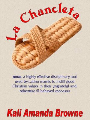 Book cover of La Chancleta