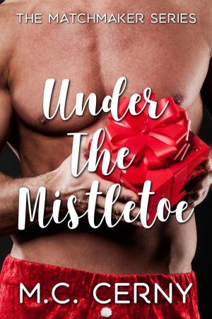 Book cover of Under The Mistletoe