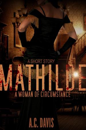 Cover of the book Mathilde, A Woman of Circumstance by Lisa Mannetti