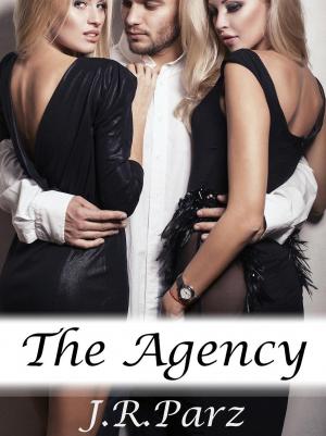 Cover of the book The Agency by Summer McKenzie