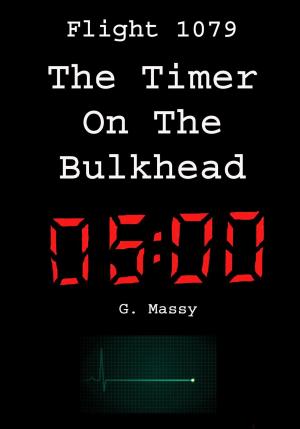 Book cover of Flight 1079: The Timer On The Bulkhead