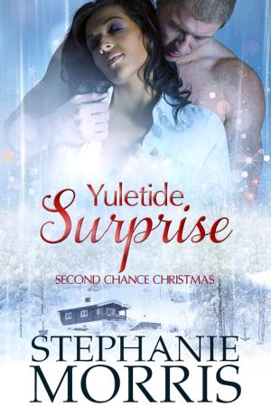 bigCover of the book Yuletide Suprise by 