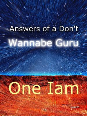 Cover of the book Answers of a Don't Wannabe Guru by Siria