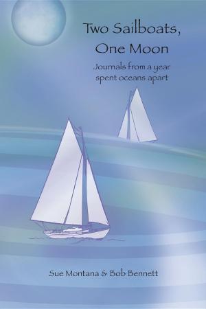 Book cover of Two Sailboats, One Moon