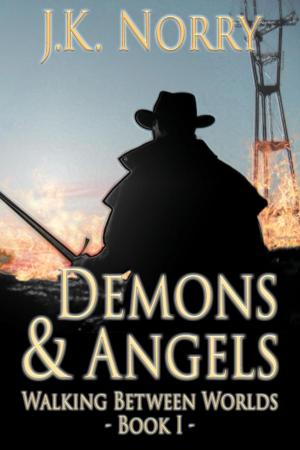 Cover of the book Demons & Angels by Jay Walken